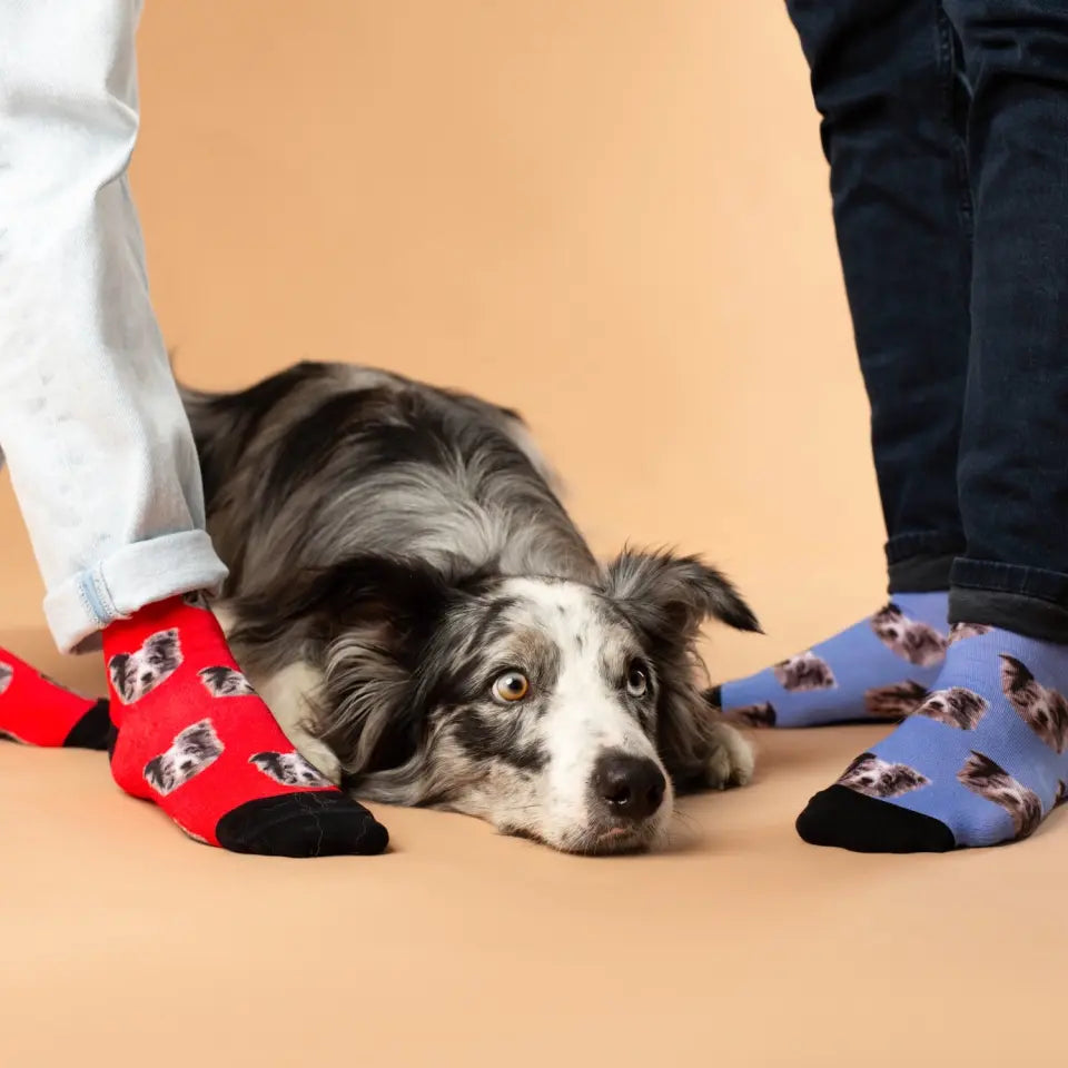 Gepersonaliseerde sokken met foto van Luna Socks