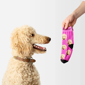 Gepersonaliseerde sokken met een Poodle foto van Luna Socks