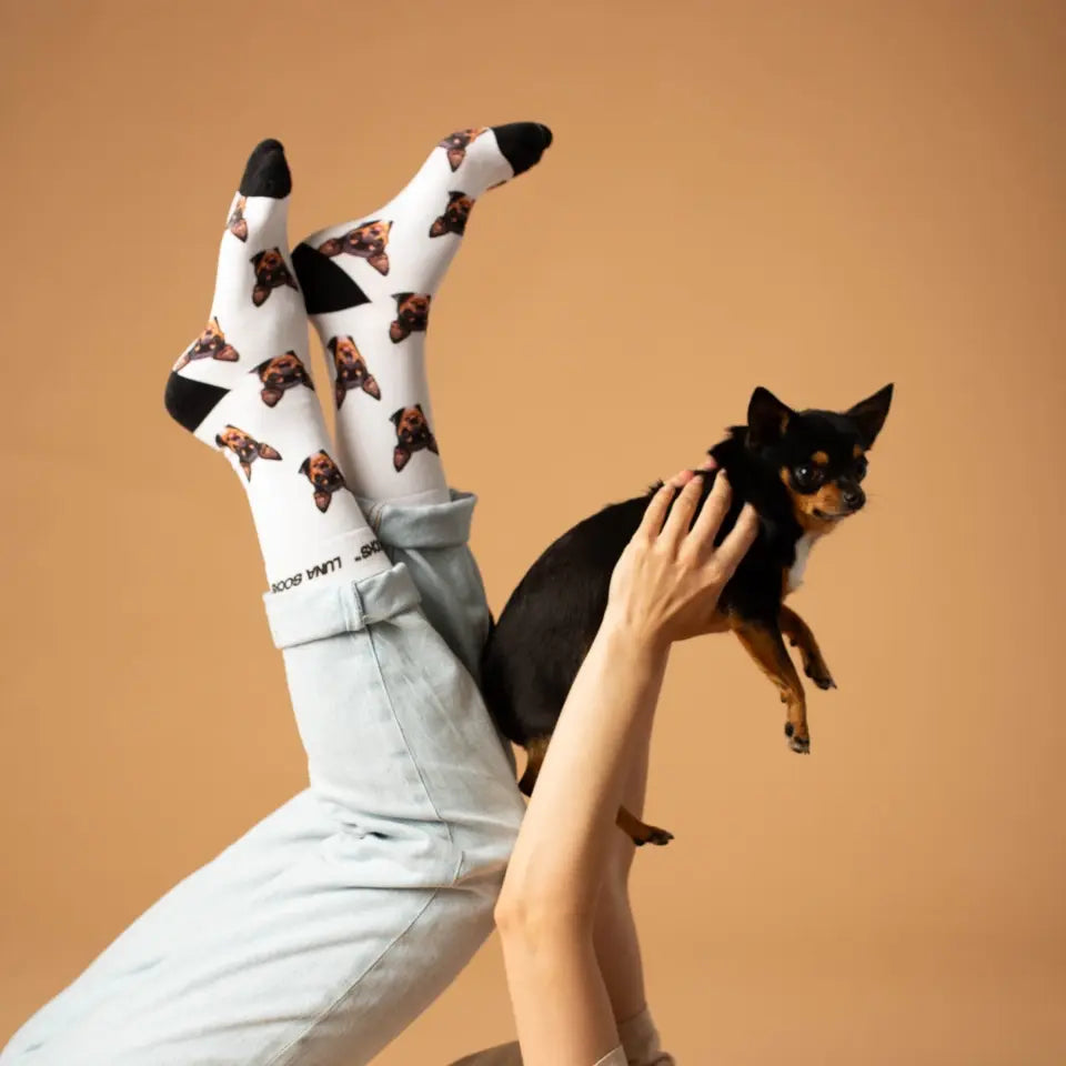 Gepersonaliseerde sokken met een Chihuahua foto van Luna Socks