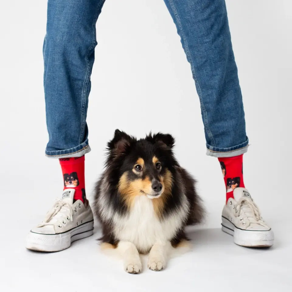 Gepersonaliseerde sokken met een Collie foto van Luna Socks